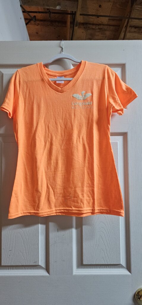 2025 Ladies v neck t shirt
