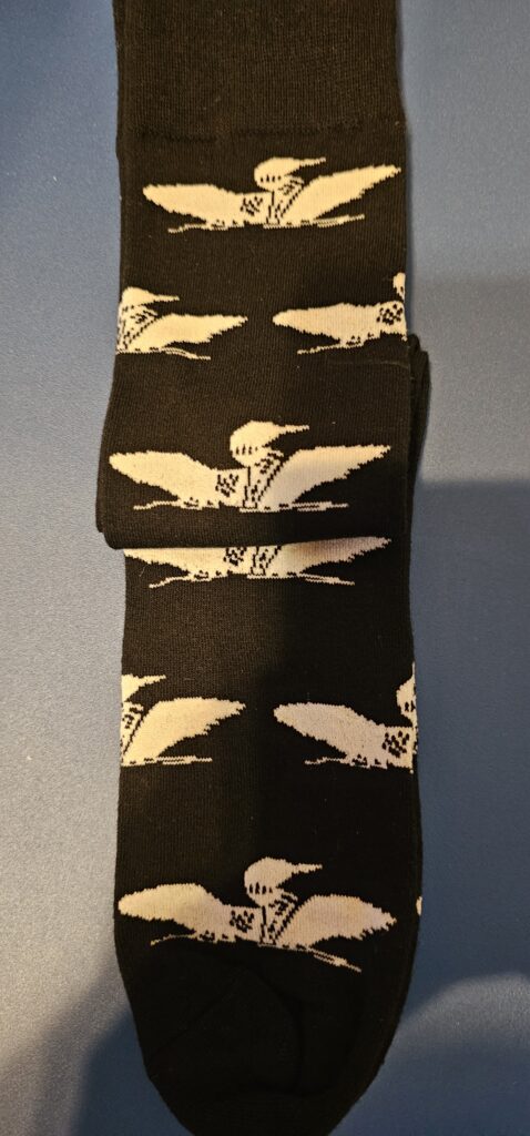 Loon Socks